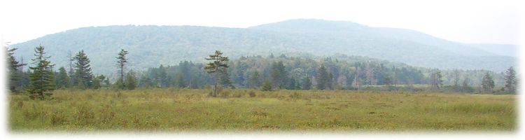 Cranberry Glades, Pocahontas County, WV